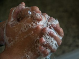 Wash your hands between touching different rabbits.